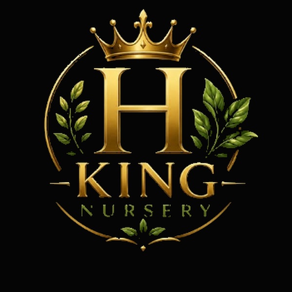 King H Nursery logo